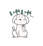 癒されトイプーチェリーとメロン（個別スタンプ：2）
