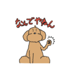 癒されトイプーチェリーとメロン（個別スタンプ：3）