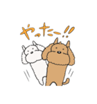 癒されトイプーチェリーとメロン（個別スタンプ：5）