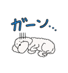 癒されトイプーチェリーとメロン（個別スタンプ：8）