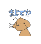 癒されトイプーチェリーとメロン（個別スタンプ：11）