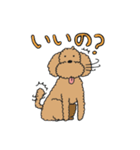癒されトイプーチェリーとメロン（個別スタンプ：13）