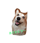 もーみん＆猫たち（個別スタンプ：7）
