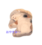 もーみん＆猫たち（個別スタンプ：8）