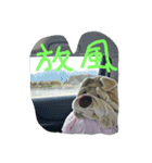 happy pipi（個別スタンプ：2）