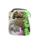happy pipi（個別スタンプ：5）
