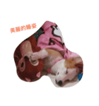 Unicorn My Love（個別スタンプ：6）