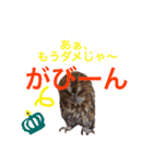 ふくろうの、りおさん②（個別スタンプ：3）