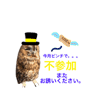 ふくろうの、りおさん②（個別スタンプ：8）