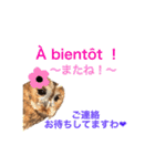 ふくろうの、りおさん②（個別スタンプ：14）