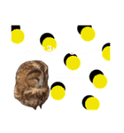 ふくろうの、りおさん②（個別スタンプ：15）