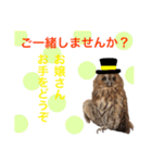 ふくろうの、りおさん②（個別スタンプ：24）