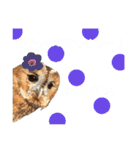 ふくろうの、りおさん②（個別スタンプ：26）