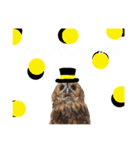 ふくろうの、りおさん②（個別スタンプ：28）