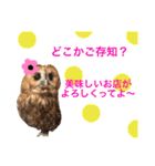 ふくろうの、りおさん②（個別スタンプ：29）