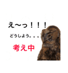 ふくろうの、りおさん②（個別スタンプ：30）