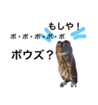 ふくろうの、りおさん②（個別スタンプ：40）
