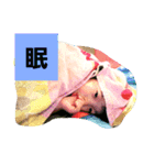 ☆青島’sスタンプ☆（個別スタンプ：3）