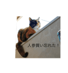 メロたんスタンプ（個別スタンプ：8）