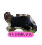 真里。（個別スタンプ：12）