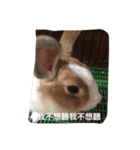 I am Machi（個別スタンプ：2）