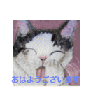 ちまめ2018（個別スタンプ：13）