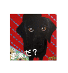 ちまめ2018（個別スタンプ：15）