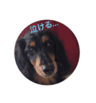 愉快な斉藤家（個別スタンプ：4）