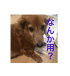 日々たけちよ（個別スタンプ：3）