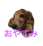 日々たけちよ（個別スタンプ：5）