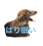 日々たけちよ（個別スタンプ：6）