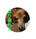 日々たけちよ（個別スタンプ：7）
