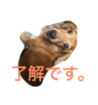 日々たけちよ（個別スタンプ：8）