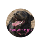 I LOVE RAM（個別スタンプ：3）