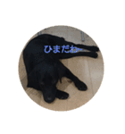 I LOVE RAM（個別スタンプ：5）