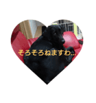 I LOVE RAM（個別スタンプ：9）