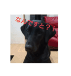 I LOVE RAM（個別スタンプ：12）