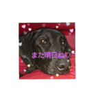 I LOVE RAM（個別スタンプ：15）
