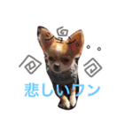 チワワのチクワちゃん（個別スタンプ：7）