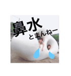 さとかなパート2（個別スタンプ：3）