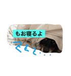 くしゅけ2（個別スタンプ：8）