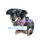 くしゅけ2（個別スタンプ：13）