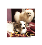 大事なFAMILY（個別スタンプ：3）