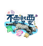 Mum Mum Boy2（個別スタンプ：3）