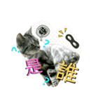 Mum Mum Boy2（個別スタンプ：5）