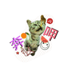Mum Mum Boy2（個別スタンプ：6）