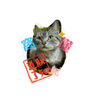 Mum Mum Boy2（個別スタンプ：9）