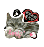 Mum Mum Boy2（個別スタンプ：16）