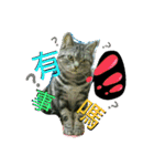 Mum Mum Boy2（個別スタンプ：20）