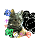 Mum Mum Boy2（個別スタンプ：21）